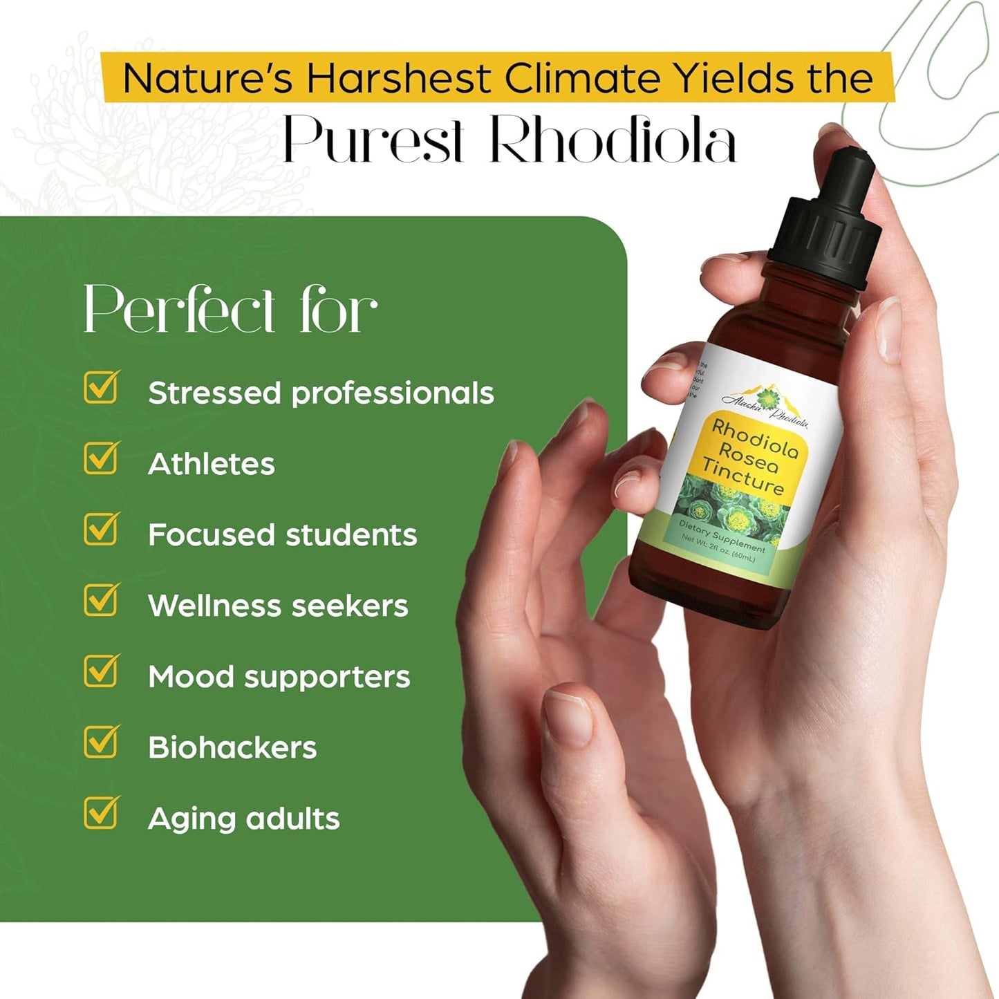 Rhodiola Rosea Tincture – Natural Stress & Energy Support (2 oz)