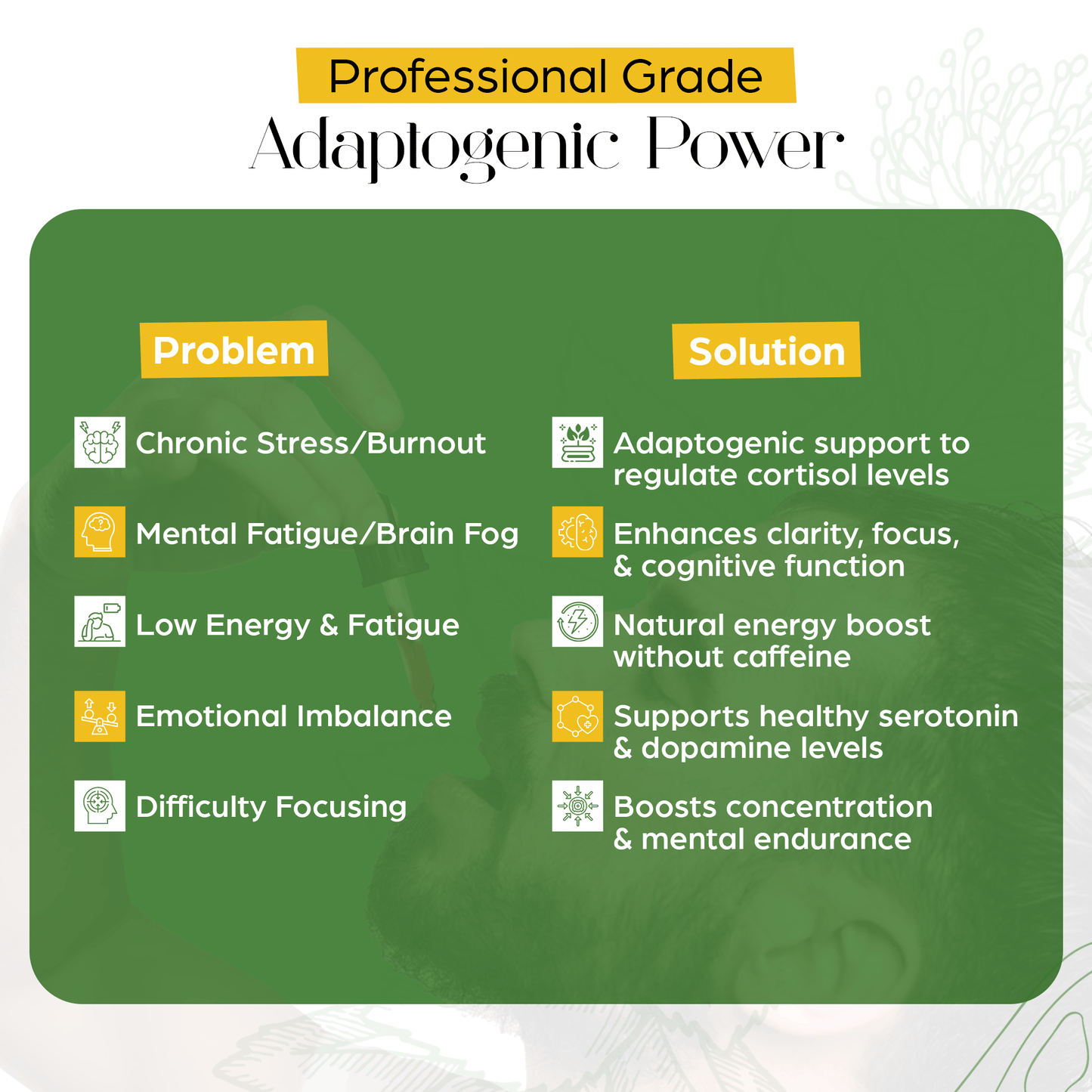 Rhodiola Rosea Tincture – Natural Stress & Energy Support (2 oz)